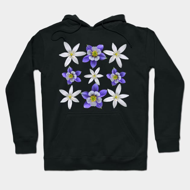 Star Of Bethlehem And Colorado Blue Columbine Pattern Hoodie by DesignMore21